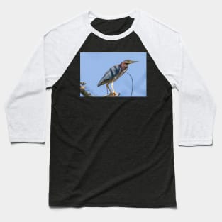 Green Heron Baseball T-Shirt